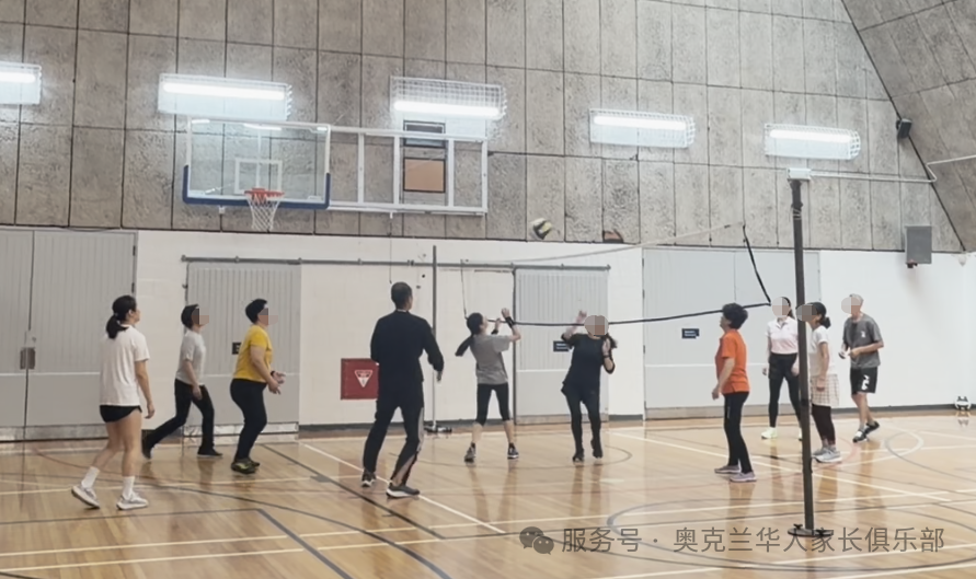 成人气排球 - Image 4