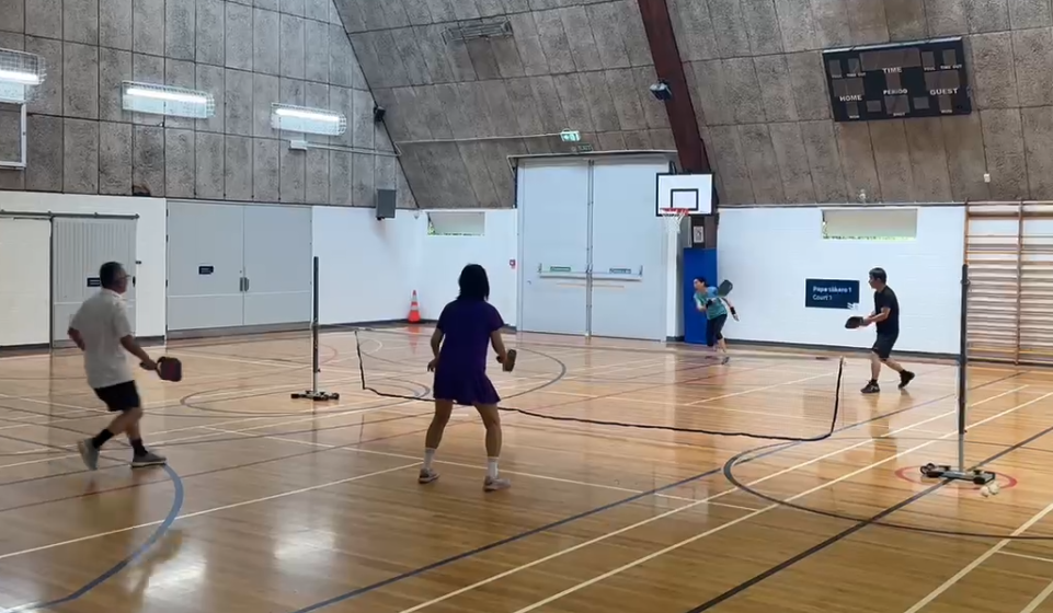 成人匹克球 - Image 3