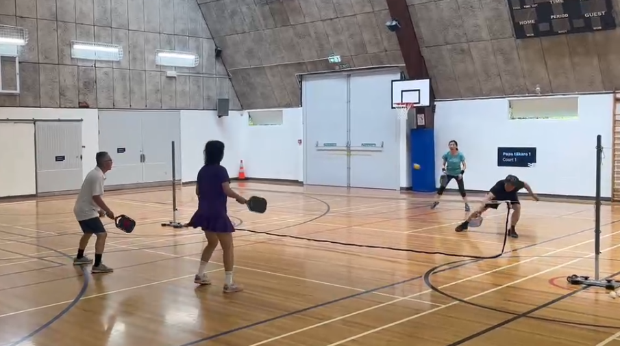 成人匹克球 - Image 2